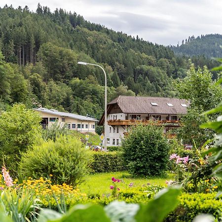Am Doettelbach Apartment Бад Петерстал-Грисбах Екстериор снимка