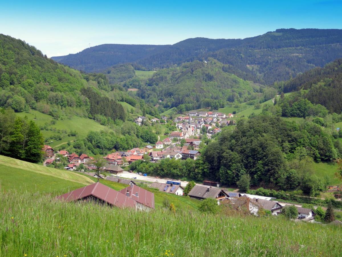Am Doettelbach Apartment Бад Петерстал-Грисбах Екстериор снимка