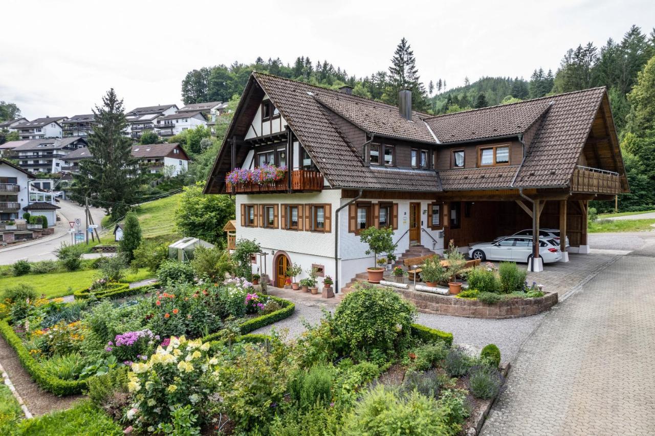 Am Doettelbach Apartment Бад Петерстал-Грисбах Екстериор снимка