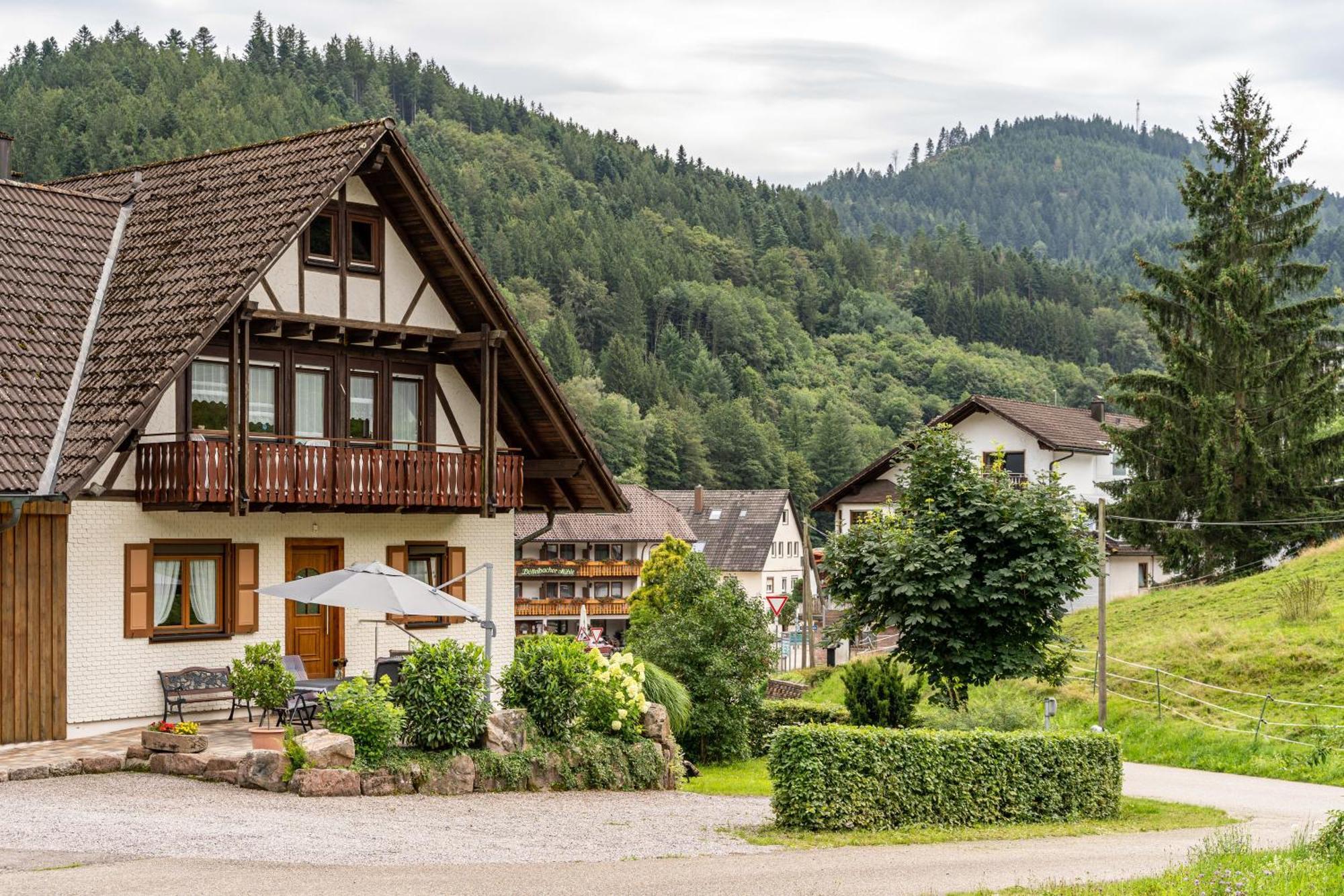 Am Doettelbach Apartment Бад Петерстал-Грисбах Екстериор снимка