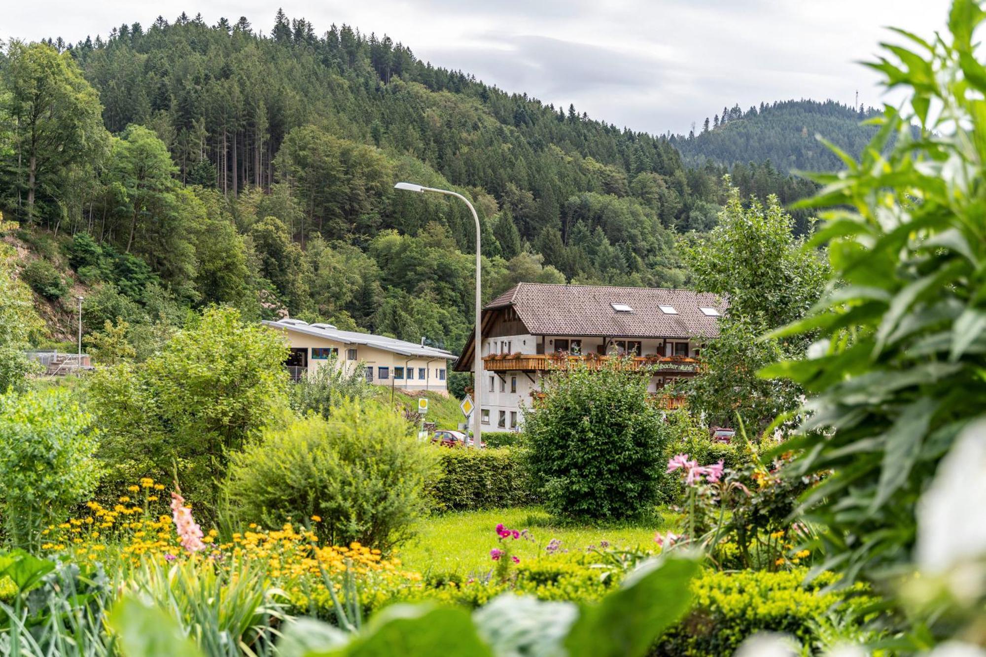 Am Doettelbach Apartment Бад Петерстал-Грисбах Екстериор снимка